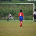 埼玉県少女サッカーフェスティバル（決勝トーナメント）